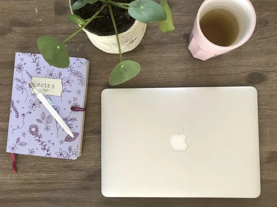 business, working, laptop, macbook