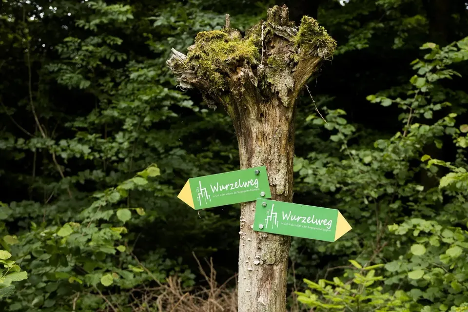signpost, waypoint, wood, nature
