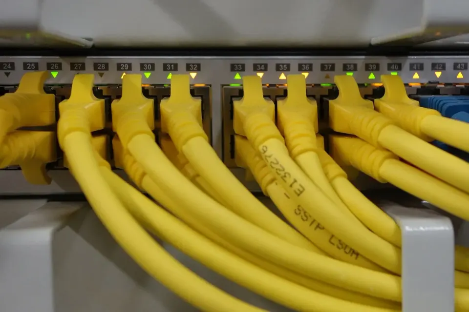 Blue network patch cables plugged into a switch