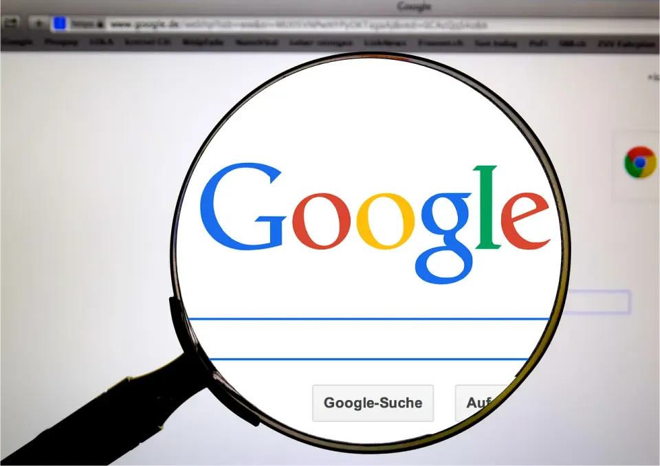 Search bar with www typed into it on a web browser screen