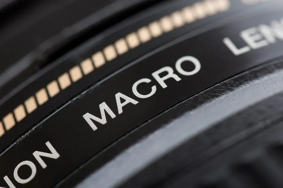 A DSLR camera lens, a reminder that photographs are the raster images most sites compress